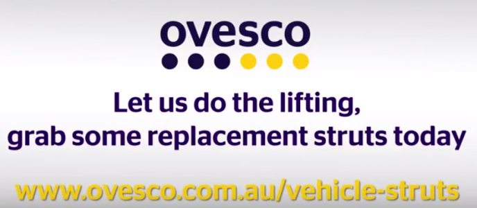 Vehicle Gas Struts replacement