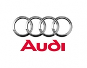 Audi gas struts