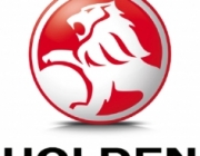 Holden gas struts