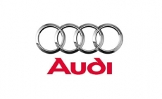 Audi gas struts