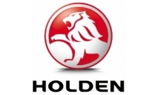 Holden gas struts