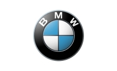 BMW gas struts
