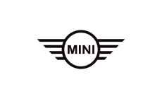 Mini Cooper gas struts