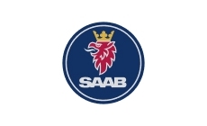 Saab gas struts