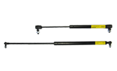 Popular Gas Struts