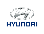 Hyundai gas struts